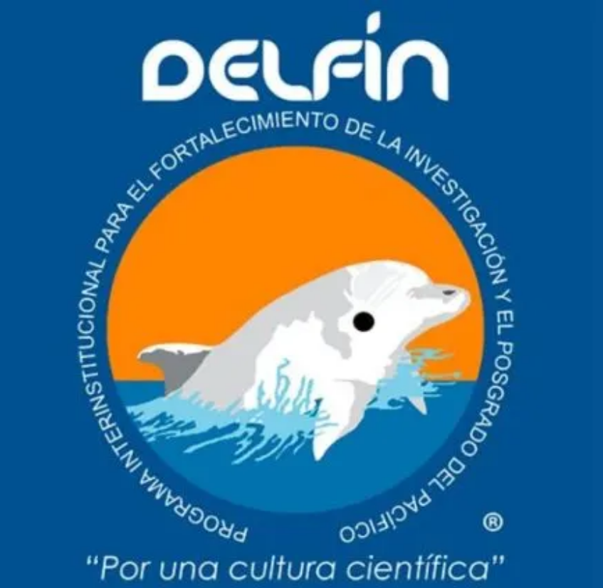 Aplicación de Modelos Ocultos de Markov (HMM) al reconocimiento del alfabeto latino